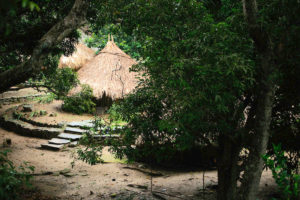 Yawanawa houses in Amazon Rainforest